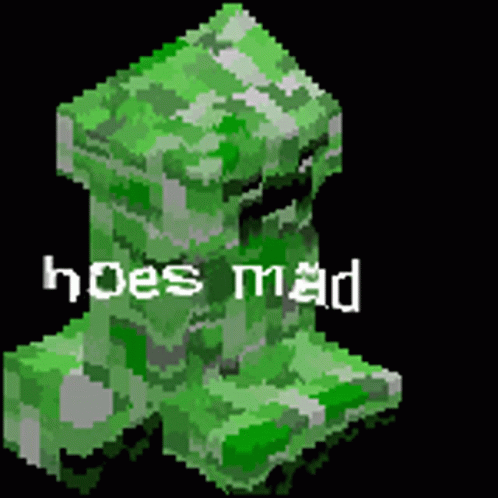 a pixeled image with the word hoes mad