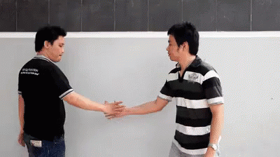 two men with hands that are shaking hands