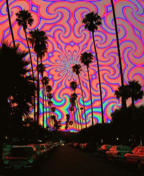 the image shows palm trees with a psychedelic pattern