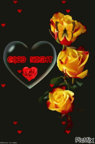 roses in the dark with heart and good night messages