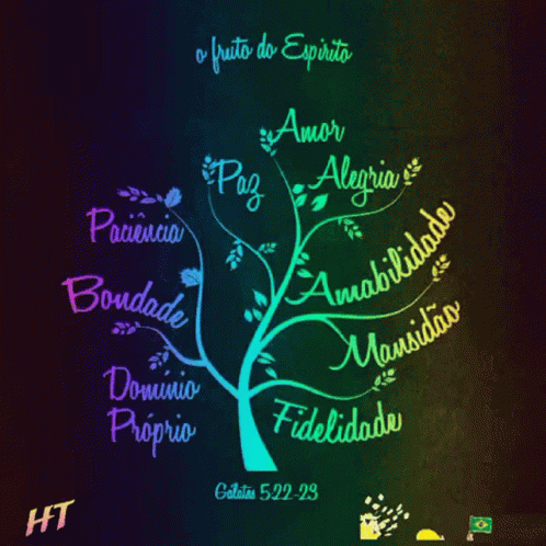 the tree has many names in different languages
