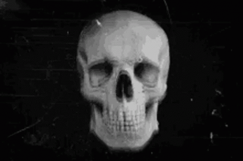 a skull wearing eye glasses is displayed in black