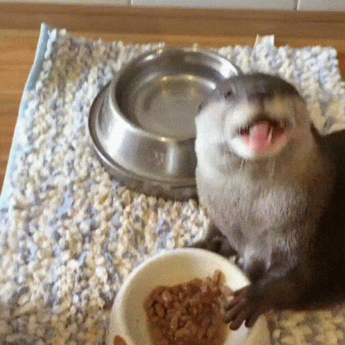 an animal with its mouth open standing next to a bowl