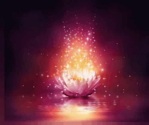 a flower and a tree with stars floating in water