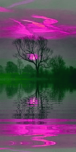 purple - hued po of trees by the lake