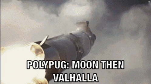a picture that is of the words polypug moon then valhla