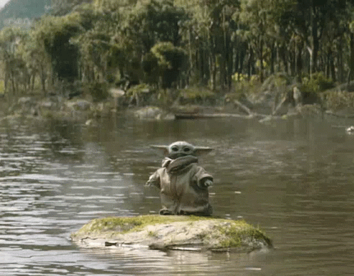 an image of a little baby yoda on water