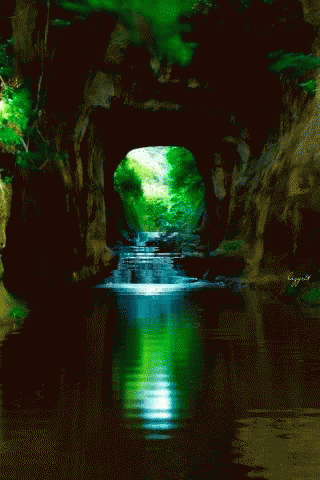 a cave that is full of green plants and water