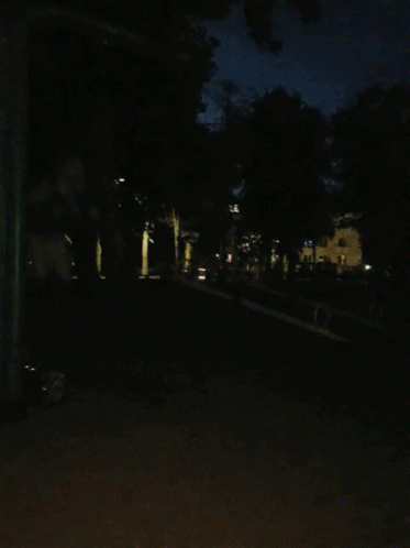 the dark night time picture shows an open area and trees