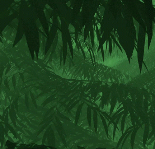 green trees in a dark, shadowy environment