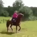 a blurry image of a person on a horse in the middle of an obstacle course