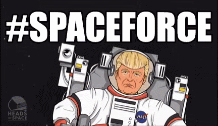 the words spaceforce are shown in black