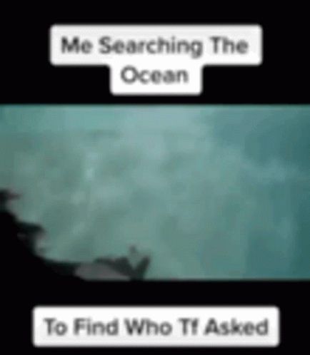 a po that reads me searching the ocean to find who it asked