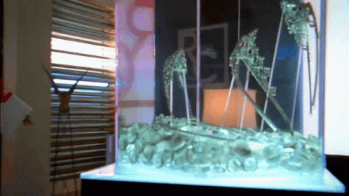 a fake glass model of a palm tree inside of it