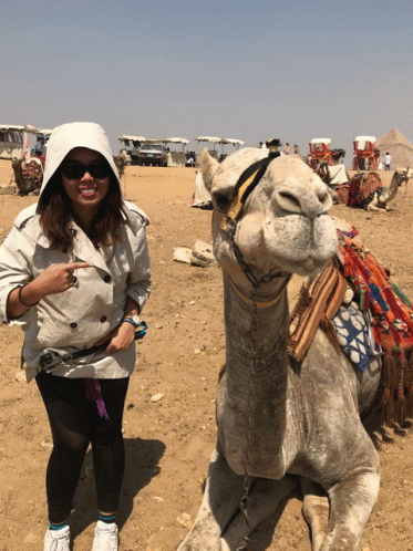 the woman is standing in front of two very big camels