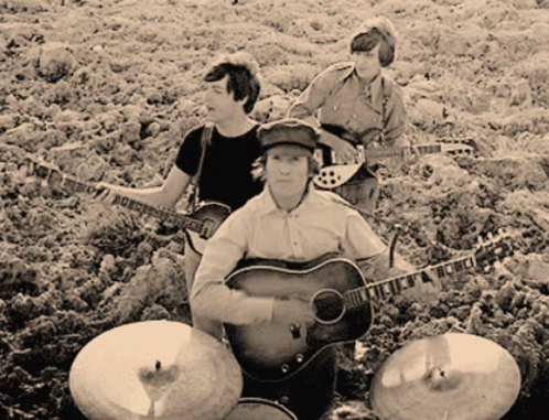 three boys are playing music in a field
