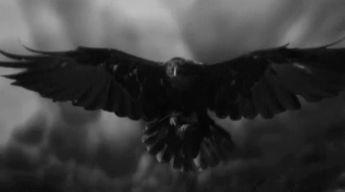 a black and white po of a black bird flying