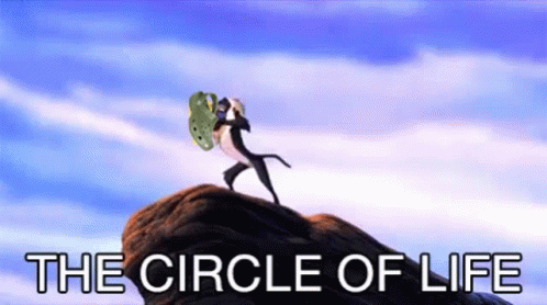 the circle of life logo with a person carrying a surf board on top of a mountain