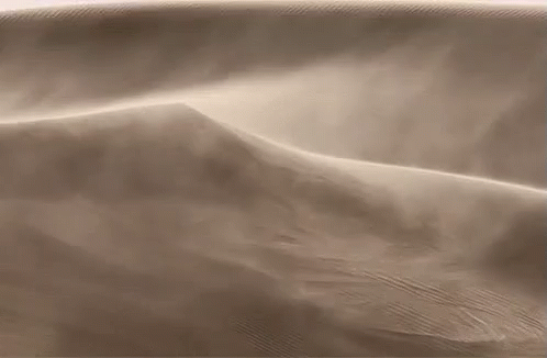 an extreme wide - screen capture of dunes and snow on the beach