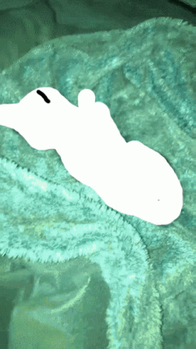 an image of a large white piece of stuff on the blanket