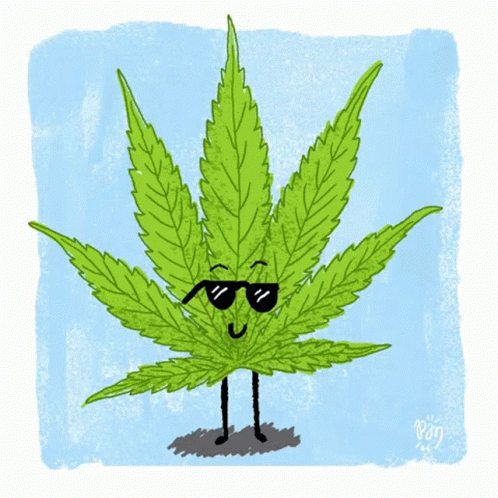 a drawing of a cannabis wearing sunglasses and a hat