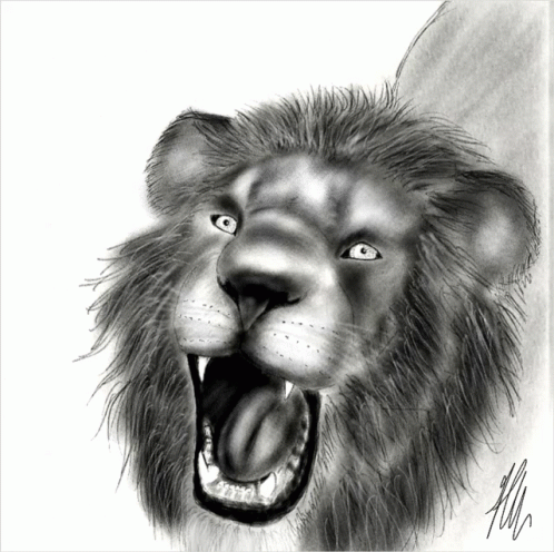a pencil drawing of a lion is shown in this drawing