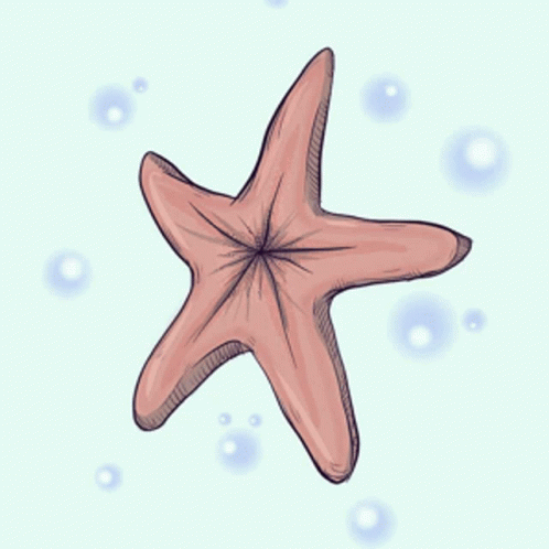 the blue starfish is under small bubbles