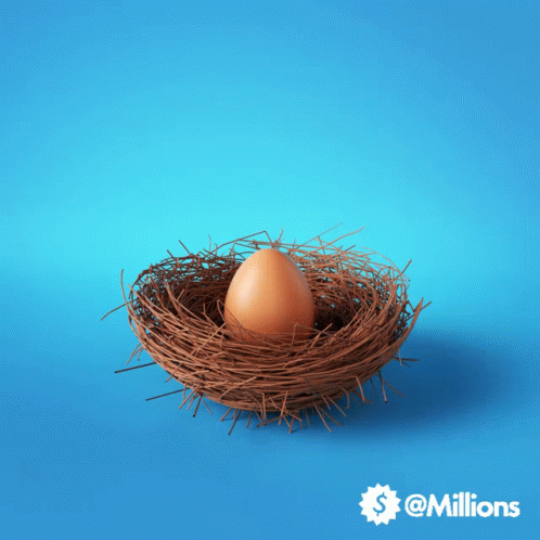 blue bird nest with eggs on yellow background