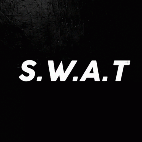 a plane with the word's swat written across the sky