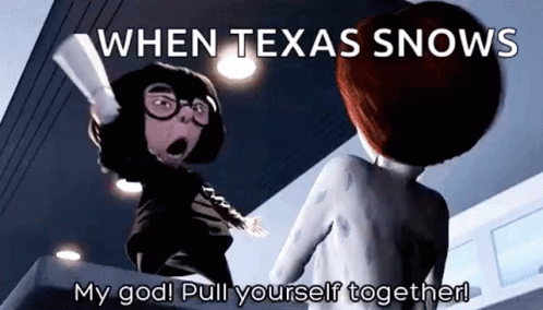 two cartoon characters standing next to each other with caption that says, when texas snows my god pull yourself together