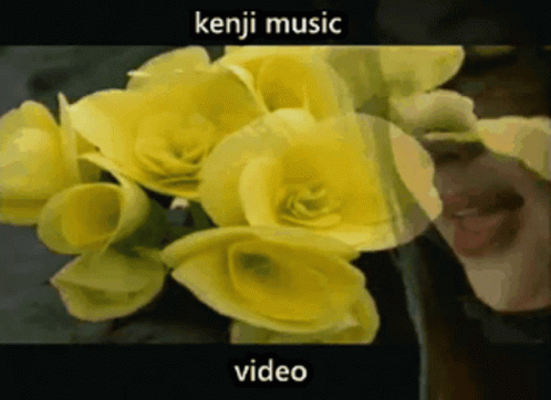 three different colored flowers in a picture with the words, keni music