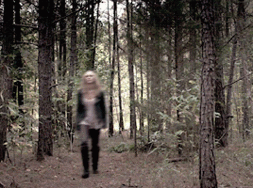 a person is walking through the woods with lots of trees