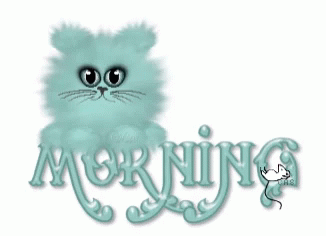 an artistic image of a cute kitten in the words morning