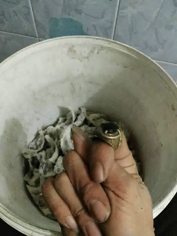 someone holding their hand up in a bucket of dirt