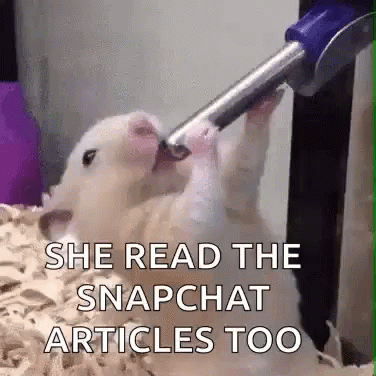 a white kitten has its head up and the caption reads she read the snapchat articles too