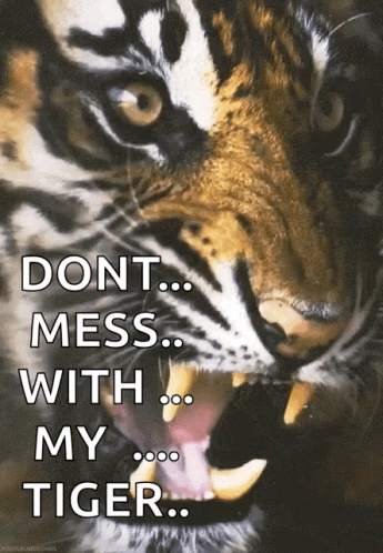 an artistic image of a tiger, with its mouth open and a caption about it