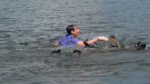 a man is being pulled by two dogs in water