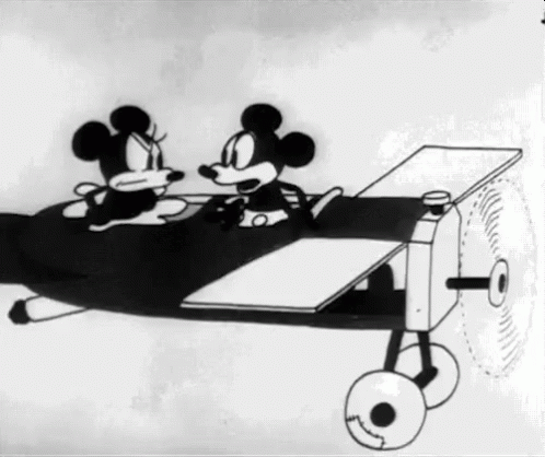 the drawing shows mickey and minnie mouse in a plane