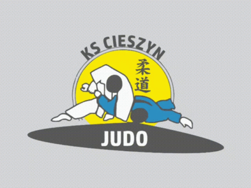 logo of the karate tournament judo