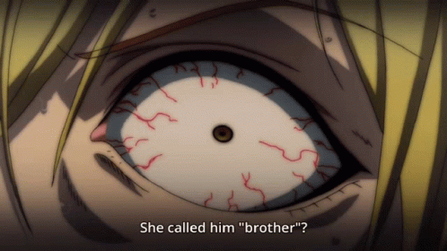 a person with long hair has an eyeball over the text that reads, she called him brother?