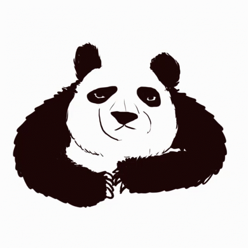 panda's head on a white background