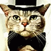 a cat with a hat and a tie