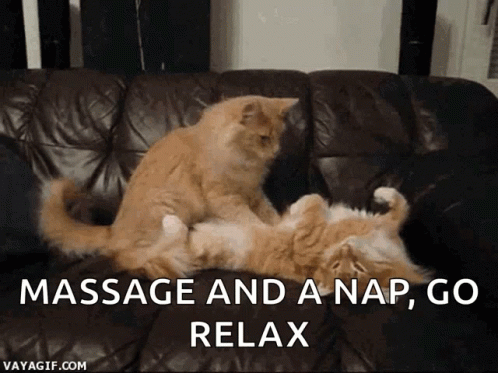there is a cat lying on a couch that has the caption saying massage and a nap, go relax