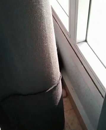 an overstuffed sofa leans against the window
