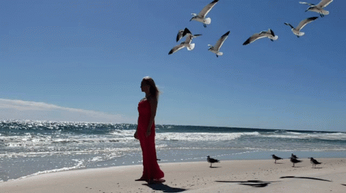 woman watching birds fly at the beach on a sunny day