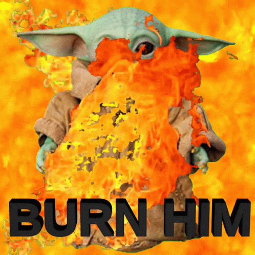 an illustration of the child yoda with the words burn him