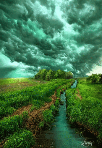 a painting of a grass field with water running through it and a sky full of clouds above