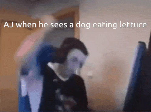 the blurry image shows a man and a dog