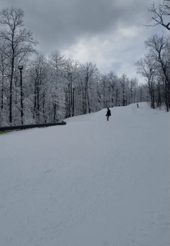 person skiing down the snow covered mountain with trees in background