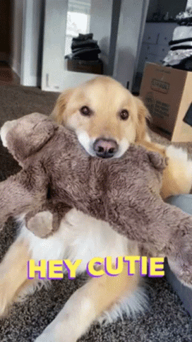 a very cute dog laying with a big stuffed animal